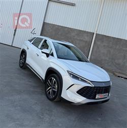 بي واي دي سونغ L DM-i